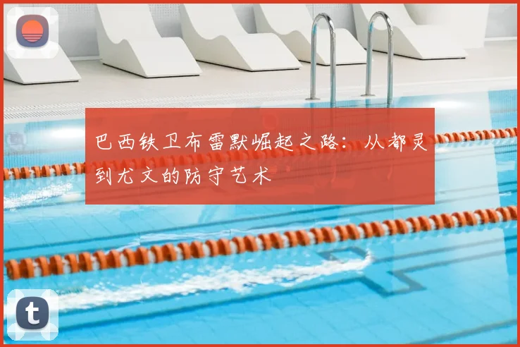 巴西铁卫布雷默崛起之路:从都灵到尤文的防守艺术